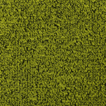 10 2389 Desso Fields 7072 Groen Soundmaster 50×50 Cm Tapijttegel