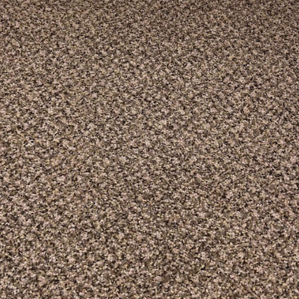 Desso Protect 2922 Bruin KB 50x50 Cm Tapijttegel