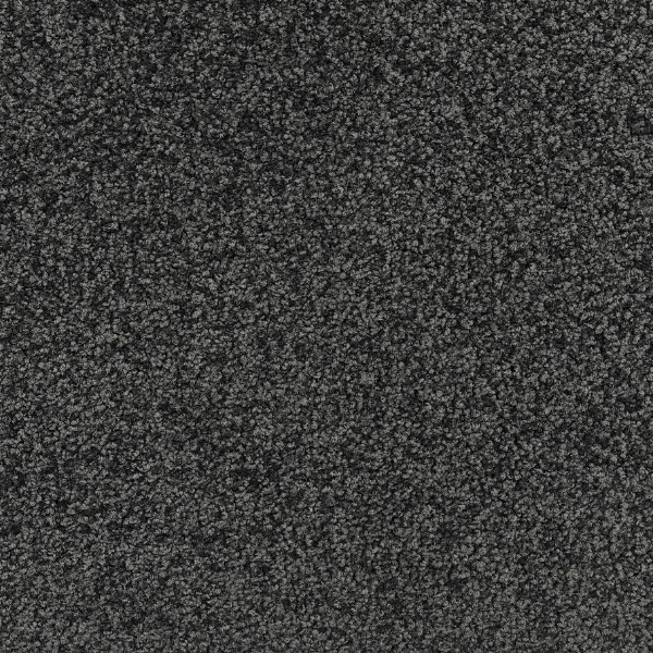 10 2874 Object Carpet Madra 110B Zwart Akustik 50x50 Cm Tapijttegel