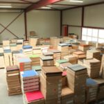 Nog veel meer TAPIJTTEGELS