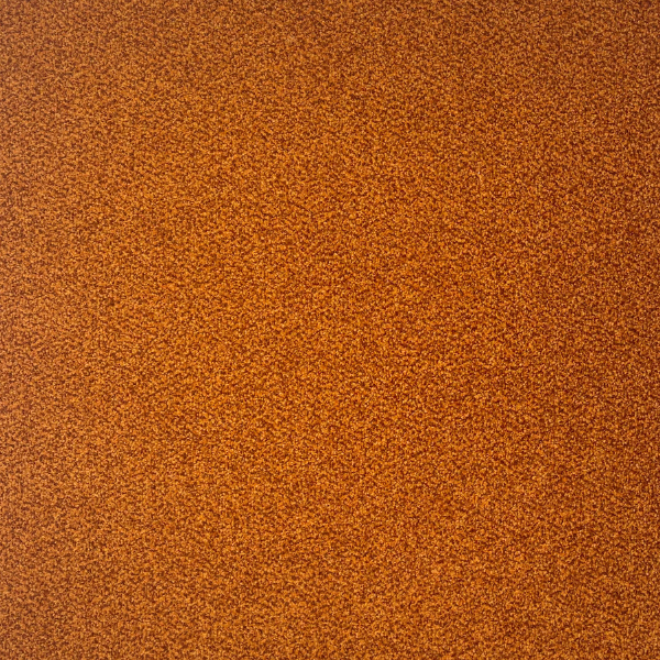 10 2892 Desso Torso 5103 Oranje 50×50 Cm Tapijttegel